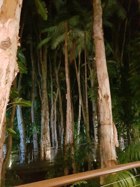 Paperbark Restaurant - Sunshine Coast Tourism 5