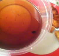 Labrador Chinese Restaurant - Sunshine Coast Tourism