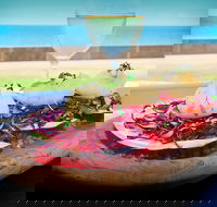 The Vinyard Wine Bar  Restaurant - Holiday Sunshine Coast