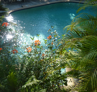 Avoca Beach Hotel - Holiday Sunshine Coast