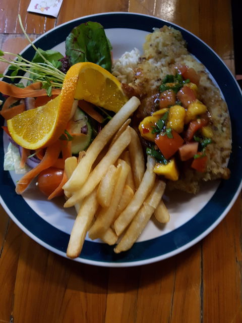 Silky Oak Tea Gardens - Sunshine Coast Tourism 4