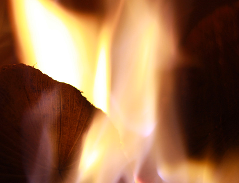 BD’s Woodfired Pizza & Pasta - Holiday Sunshine Coast 1