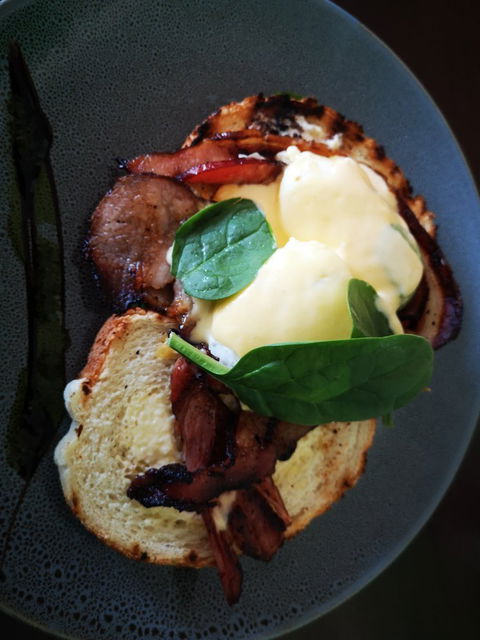 Greenout Pintxo & Mojito Bar - Holiday Sunshine Coast 3