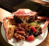 Safari Club Bar  Grill - Sunshine Coast Tourism