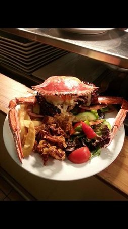 Safari Club Bar & Grill - Sunshine Coast Tourism 0