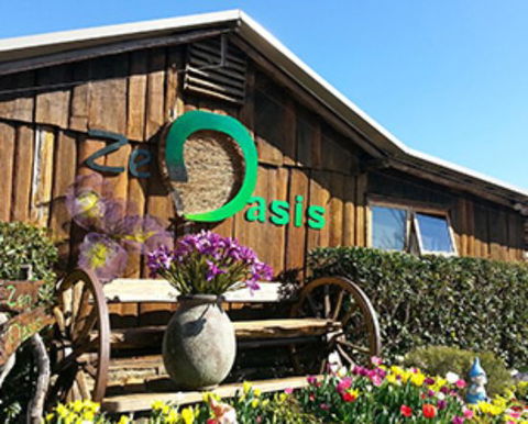 Zen Oasis Vegetarian Restaurant - Holiday Sunshine Coast 0