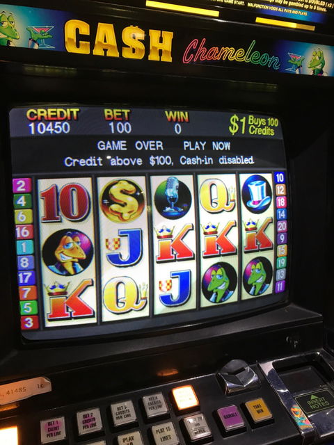 Brothers Leagues Club Townsville - Sunshine Coast Tourism 1