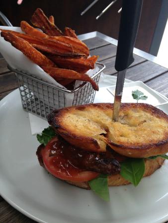 Red Dog On The Green - Sunshine Coast Tourism 0