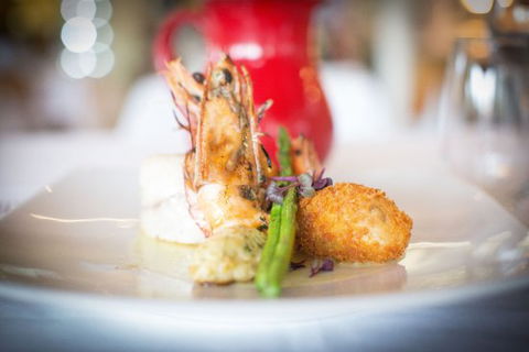 Red Nectar - Sunshine Coast Tourism 0