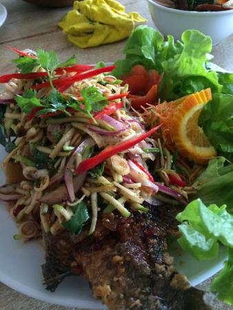 Entertainment Venues Wellington SA Sunshine Coast Tourism