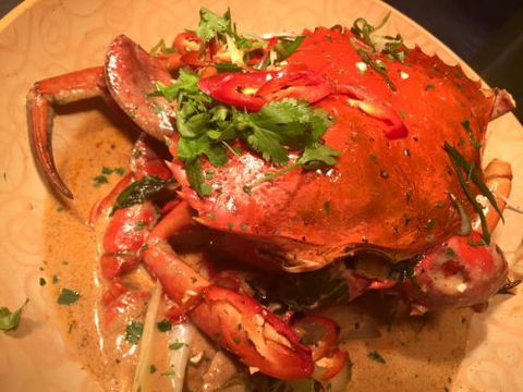 Wharf One Food & Wine - Sunshine Coast Tourism 12