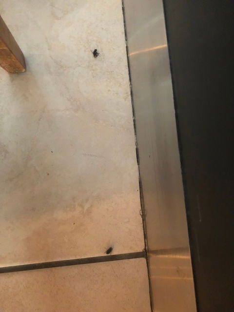 Wharf One Food & Wine - Sunshine Coast Tourism 22