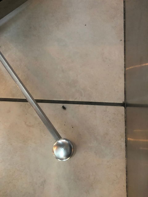 Wharf One Food & Wine - Sunshine Coast Tourism 23