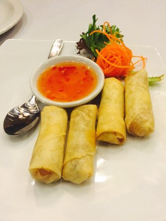 Nine Elephants - Holiday Sunshine Coast 0