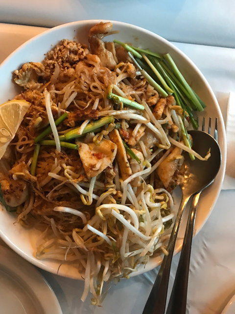 Nine Elephants - Holiday Sunshine Coast 6