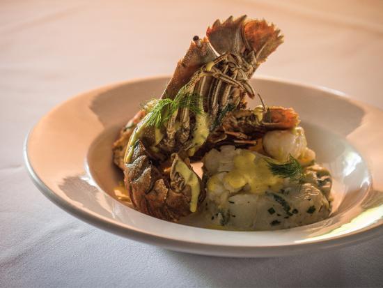 Panuara NSW Sunshine Coast Tourism