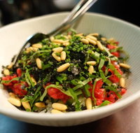 Paper Bird - Sunshine Coast Tourism