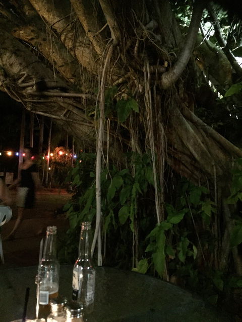 Big Fig Bistro - Sunshine Coast Tourism 6