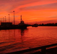 Crustaceans - Sunshine Coast Tourism