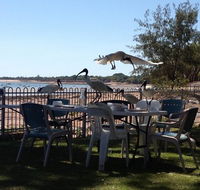 Darwin Ski Club - Little Miss Chef - Sunshine Coast Tourism