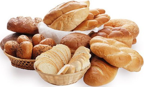 Howard Springs Bakery - Holiday Sunshine Coast 0