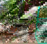 Larrimah Pink Panther Hotel - Sunshine Coast Tourism