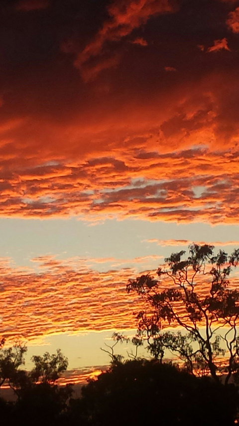 Territory Manor Mataranka - Holiday Sunshine Coast 1