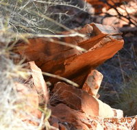 Under A Desert Moon - Sunshine Coast Tourism