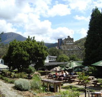 Cascade Brewery - Holiday Sunshine Coast