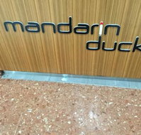 Mandarin Duck - Holiday Sunshine Coast