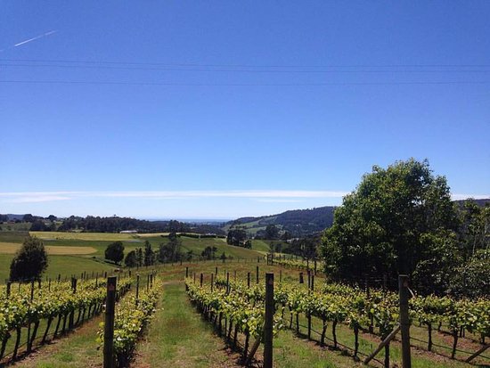 Barrington TAS Sunshine Coast Tourism