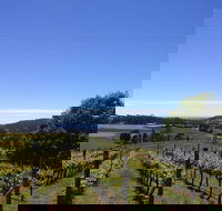 Barringwood Vineyard and Cellar Door Restaurant - Sunshine Coast Tourism