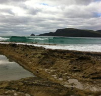 Bruny Island Berry Farm - Sunshine Coast Tourism