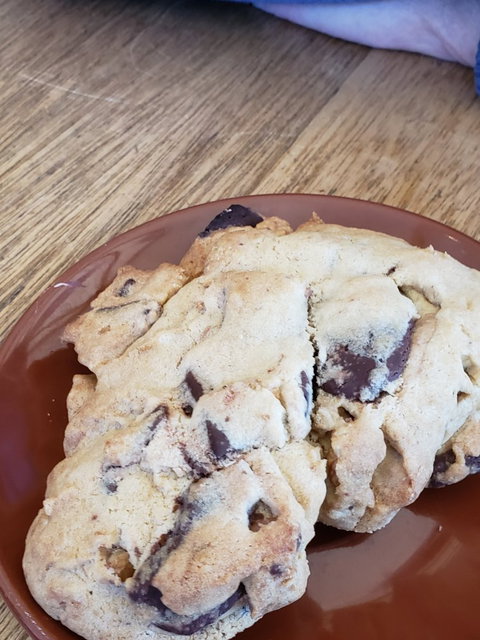 Bruny Island Cafe - Sunshine Coast Tourism 2