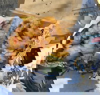 Chef's Catch - Sunshine Coast Tourism