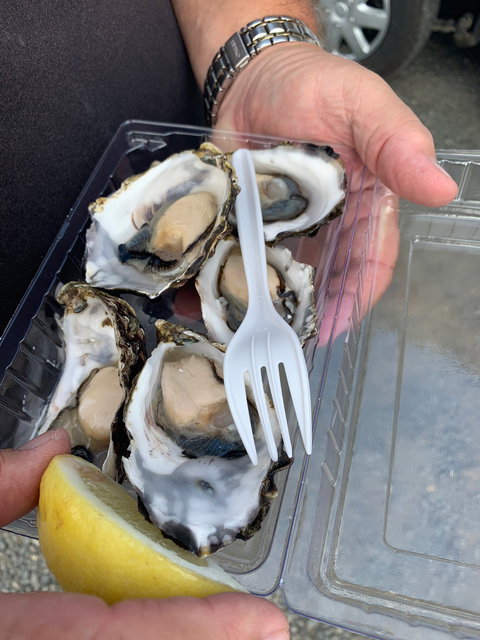 DOO-Lishus - Holiday Sunshine Coast 5