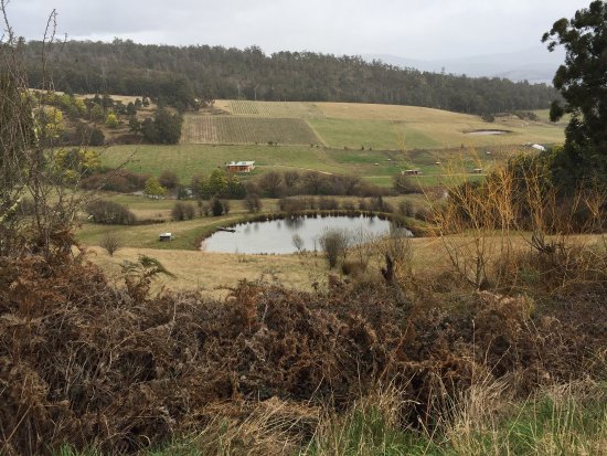 Glaziers Bay TAS Sunshine Coast Tourism