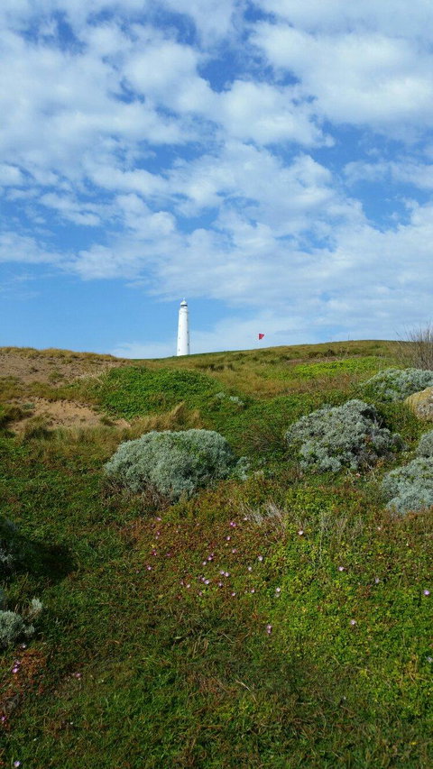 King Island Golf - Holiday Sunshine Coast 8