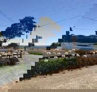 Penguin  Pardalote Coffee House - Sunshine Coast Tourism