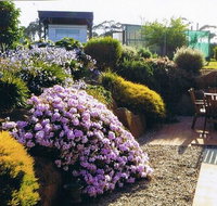 Pipers River Tea House and Crafts - Sunshine Coast Tourism