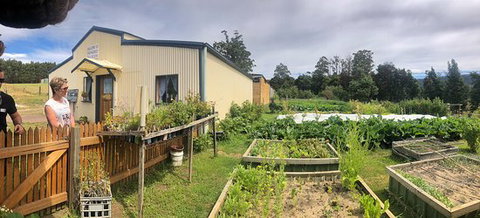 Springfield Tea Room - Sunshine Coast Tourism 0