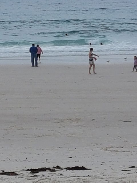 Sweet-Ness At The Sea - Sunshine Coast Tourism 1