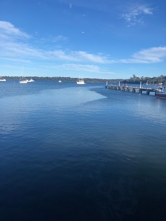 The Wharf Bar & Kitchen - Sunshine Coast Tourism 0