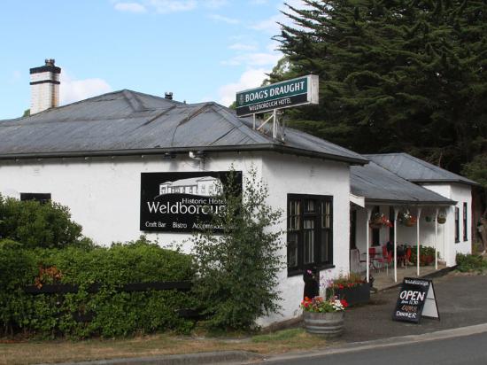 Weldborough TAS Sunshine Coast Tourism