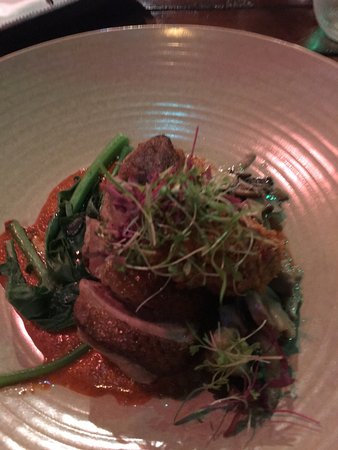 Tiger Lil's - Holiday Sunshine Coast 0