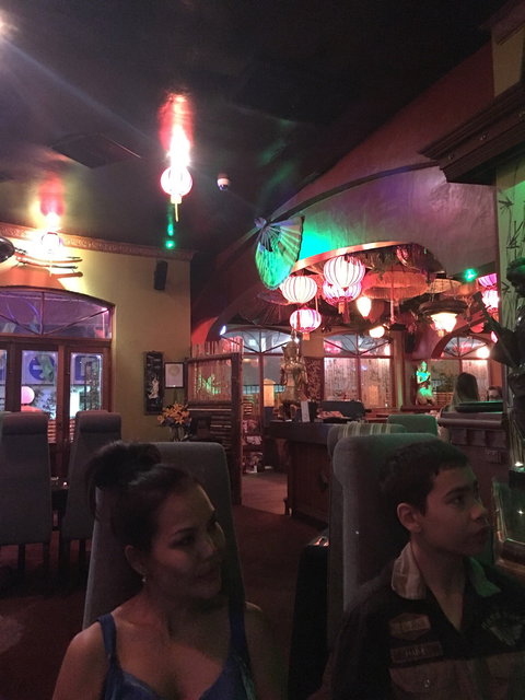 Tiger Lil's - Holiday Sunshine Coast 4