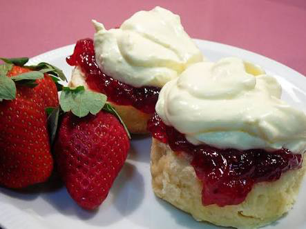 Point Vernon QLD Holiday Sunshine Coast