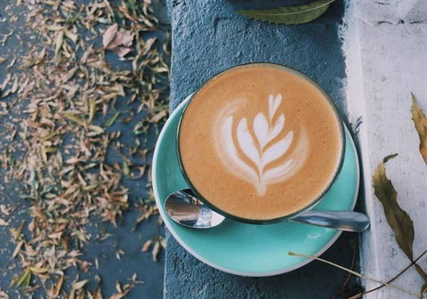 Footscray Milking Station - Sunshine Coast Tourism 9