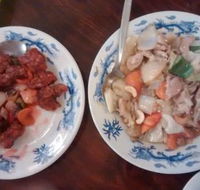 Opal City Chinese Restaurant - Sunshine Coast Tourism