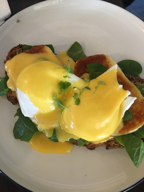 The Ponycat - Sunshine Coast Tourism 2